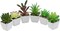 Set of 6 Mini Artificial Succulents in White Ceramic Pots – Lifelike Faux Small Potted Plants for Home, Office Desk, Shelf, Bathroom & Modern Room Decor